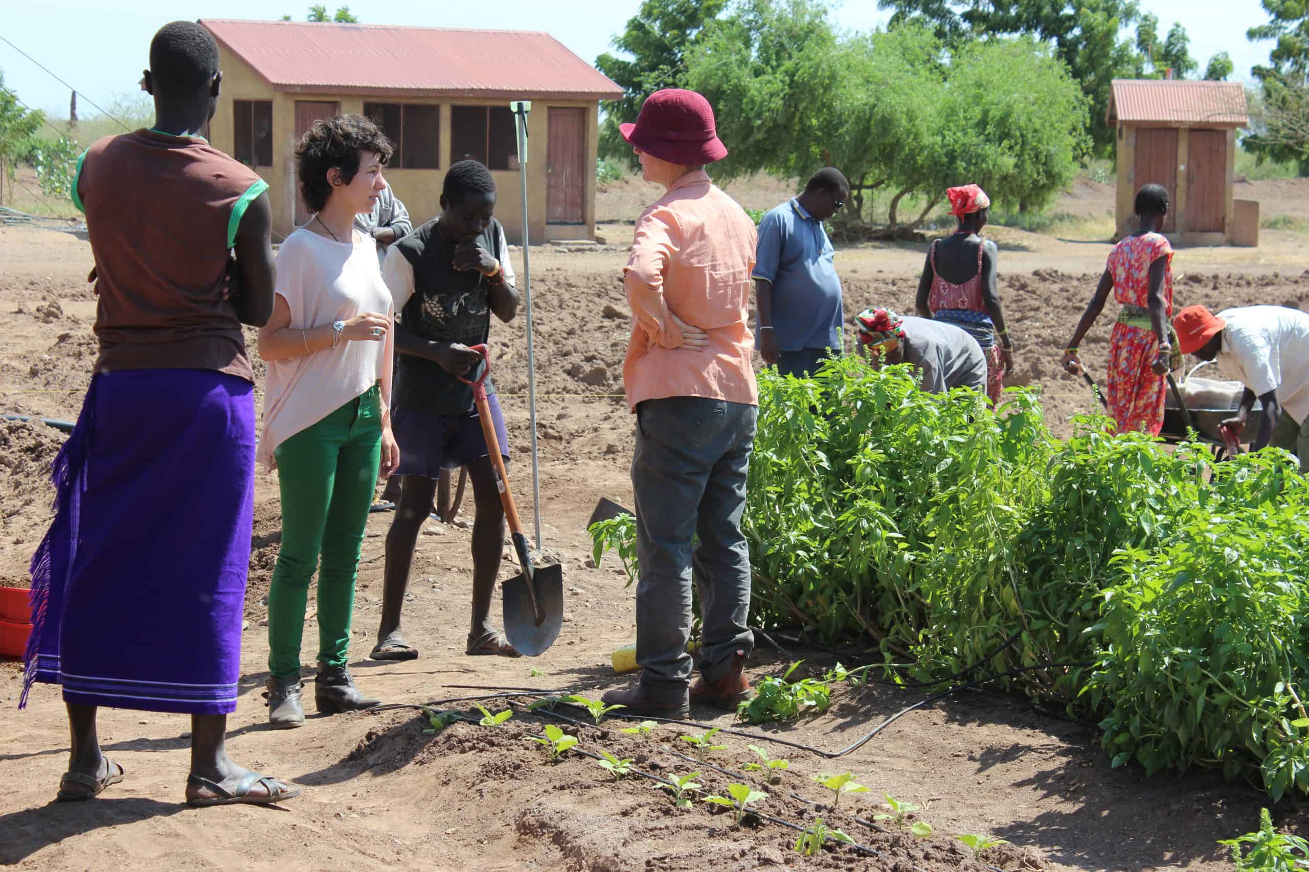 14. Brit Olam Israeli agronomists in training farm in Turkana Kenya 2