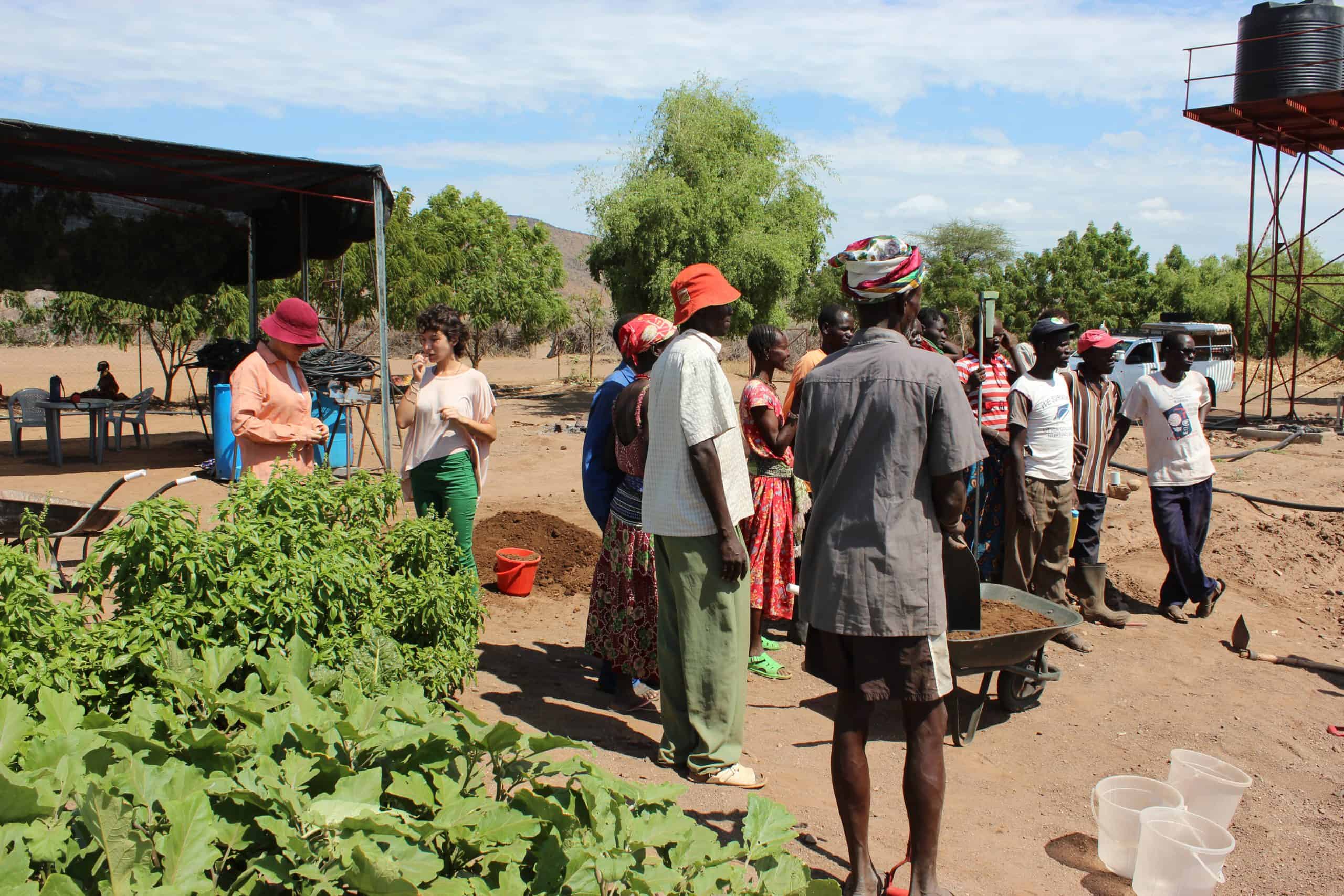 Brit Olam Israeli agronomists in training farm in Turkana Kenya 1